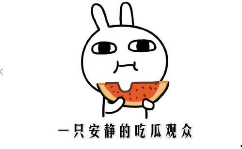 吃瓜网络词是什么意思,网络热词背后的文化现象